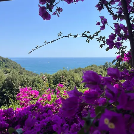 Апартаменты Il Mare Blu